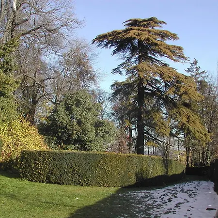 Charming Castle Stay, Robella