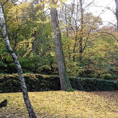 Feriehus Charming Castle Stay, Robella