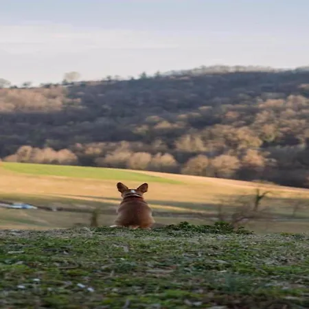 Charming Castle Stay, * Robella