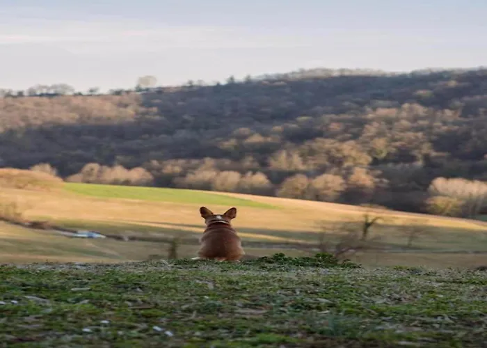 Charming Castle Stay, * Robella